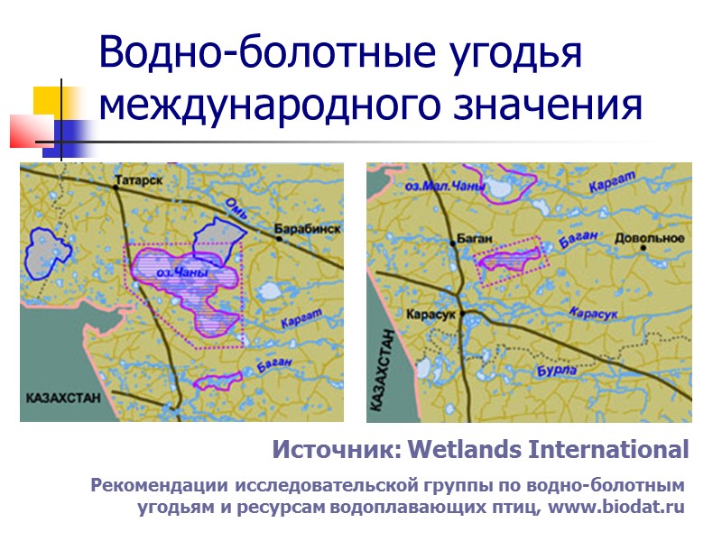 Водно-болотные угодья международного значения Источник: Wetlands International Рекомендации исследовательской группы по водно-болотным угодьям и